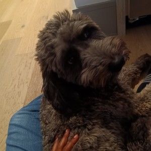 Meet your Posher, Victoria